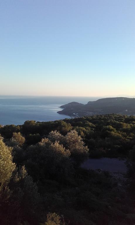 Hotel Barbara II Agia Marina  Zewnętrze zdjęcie